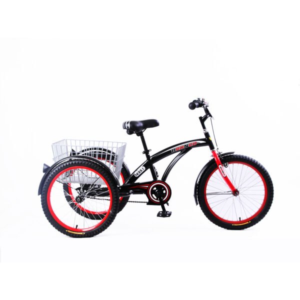 tricycle 20 inch